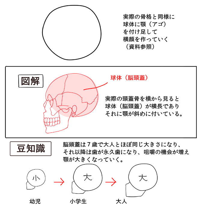 Uzivatel いちあっぷ Na Twitteru アタリは丸や四角でとると頭の形が歪みません 横顔が苦手な方 このアタリの上から描いて練習してみてください かわいい横顔の描き方メイキング いちあっぷ T Co V91e9g1sxl 絵が上手くなる記事はコレ T Co