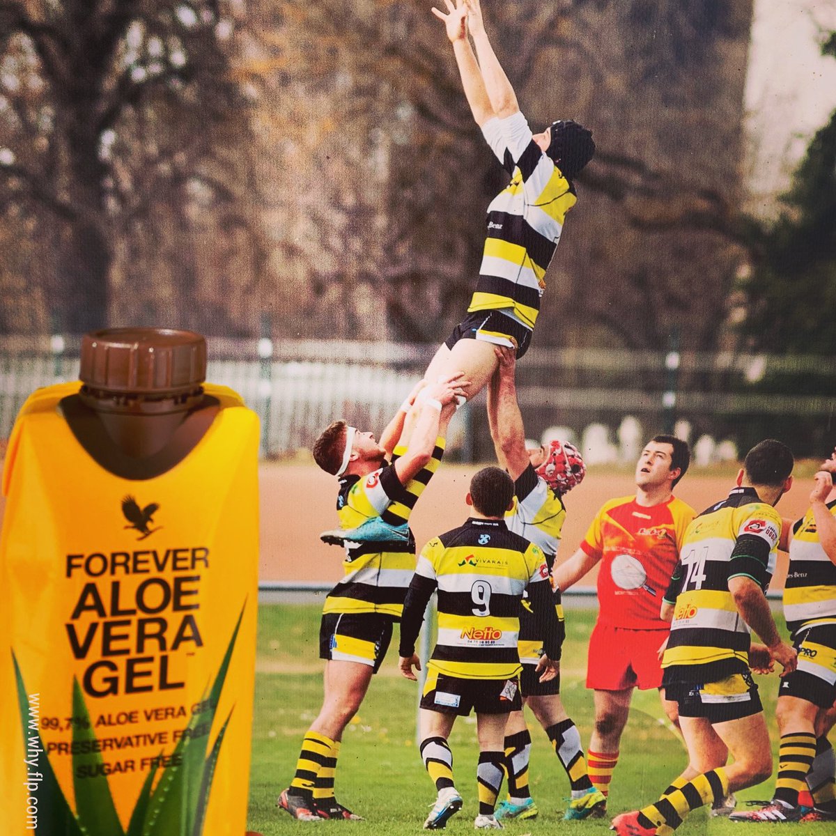 Stevens_Carlo's tweet photo. Pure and powerful ♌️
https://t.co/f15kRQMp2H
#aloevera #foreverlivingproducts #job #sport #rugby #bienetre #entrepreneur #success #waytosuccess #lifestyle #power #love #onlyyou #mumpreneur #positivevibes #ilovemyjob #energy #mlm #vdi #opportunity #dreams #enmodeforever #whyflp https://t.co/0NNmNV3Dnz