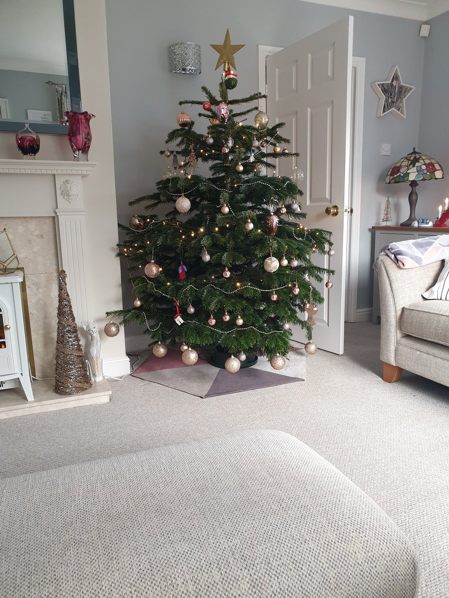 skeenantraining's tweet photo. @IKEAUK one of your £9 finest. 
Real tree from the Wednesbury store. Absolute Bargain! Plus the pines don't shed #happydays #ChristmasTree https://t.co/GTK0dGsyGK