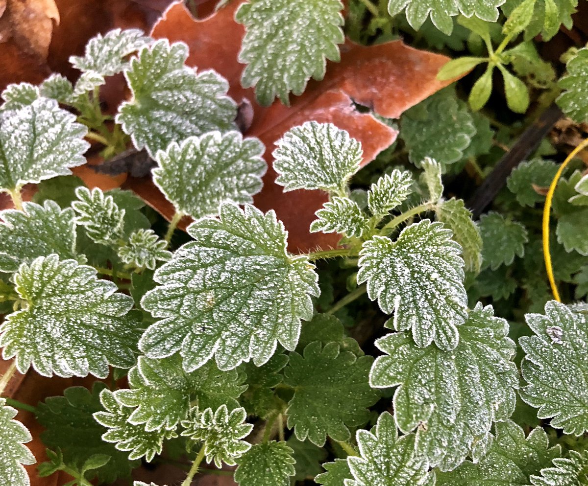 PositiveSpiritM's tweet image. Nice morning to go for a swim! Just arrived and are meeting with a girl who is coming on my winter retreat to #Sweden to warm up! #yoga @Iceman_Hof