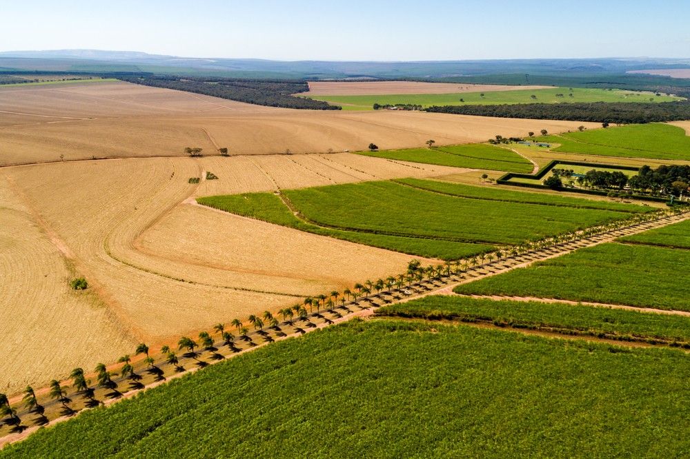 CFExecSearch's tweet image. #Biotech breakthrough turns waste biomass into high value chemicals cfsear.ch/2pWX2U4