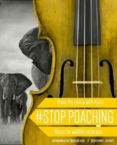 #PledgeForHumanity create awareness of elephant and rhino poaching #HumanityStartsWithEquality #HumanityFirst #humanityatwork