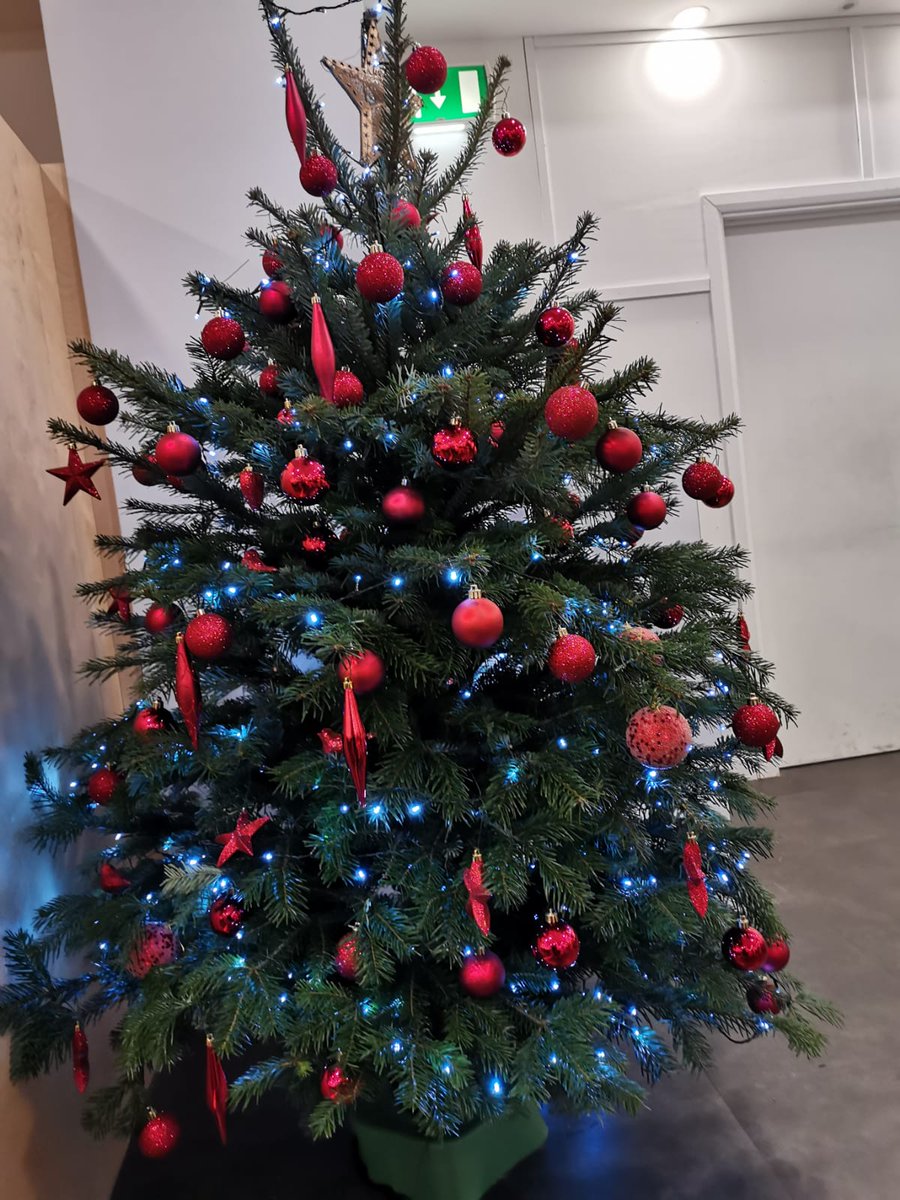 GoodElfs's tweet image. The Elves are super busy delivering the best Christmas trees to homes and businesses. It is still not too late to order yours. Come down to our Merry Elephant Shop - SE171FH or have a look at what trees we have to offer - goodelf.co.uk #ChristmasIsComing #christmastrees