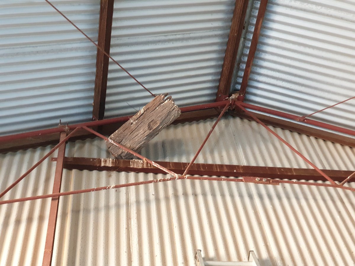 Peter Walker tweet media