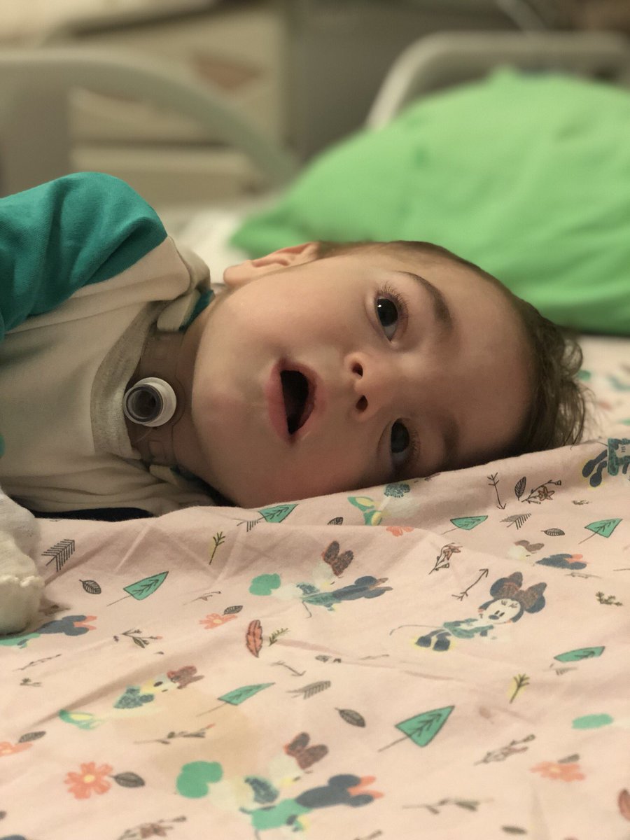 Y İ N E B A Ş A R D I K 🥳🥳
2. İlaç Parasını (58.000 €) bu sefer 6 günden biraz fazla sürsede toplamayı başardık. #yusufunsiyahınayeşilol diyen kim varsa, en ufak yardımı dokunan her kim varsa tek tek teşekkür ederiz 🙏