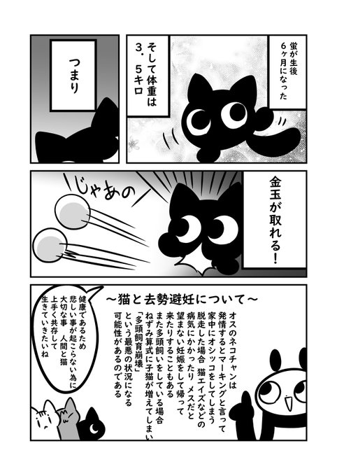 ぬら次郎 ねこパン日記 3巻2 12発売 Nurajirou さんのマンガ一覧 いいね順 2ページ ツイコミ 仮 ぬら次郎 ねこパン日記 3巻2 12発売 Nurajirou さんのマンガ一覧 いいね順 2ページ ツイコミ 仮