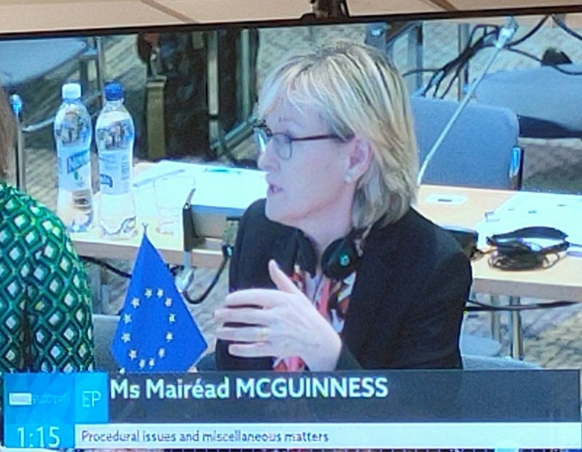 LJahierEU's tweet photo. Wide and very engaged debate at the Meeting of national parliaments #COSAC in #Helsinki discussing the  Conference on Future of Europe 
#topics #citizensdialogues #treatychanges #parliaments #delivery #parleu2019FI https://t.co/KVIC6uKEE0