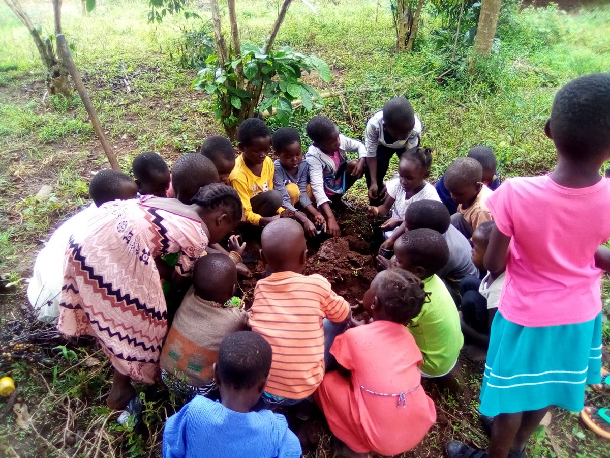 SchoolsTrees1's tweet photo. After the School Calendar coming to a close end, our focus now shifts to the Green Cops Program - which are Green Clubs run and managed by young people at village level with the aim of raising own trees and conducting local reforestation schemes. Be the change. https://t.co/aNF16zVKXy