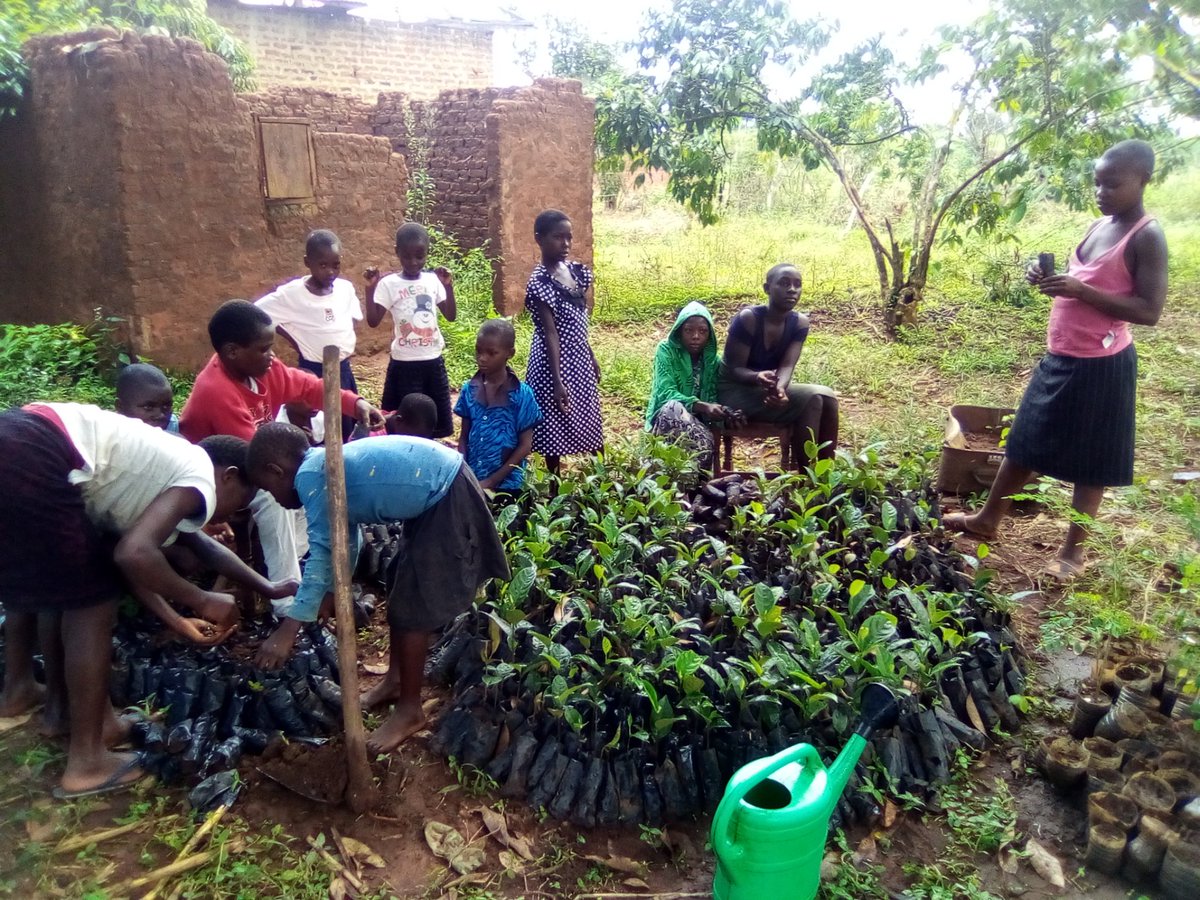 SchoolsTrees1's tweet photo. After the School Calendar coming to a close end, our focus now shifts to the Green Cops Program - which are Green Clubs run and managed by young people at village level with the aim of raising own trees and conducting local reforestation schemes. Be the change. https://t.co/aNF16zVKXy