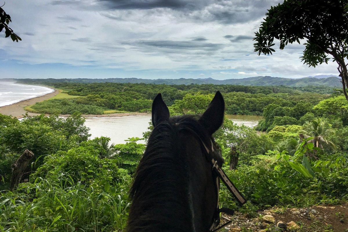 Equus Journeys tweet media