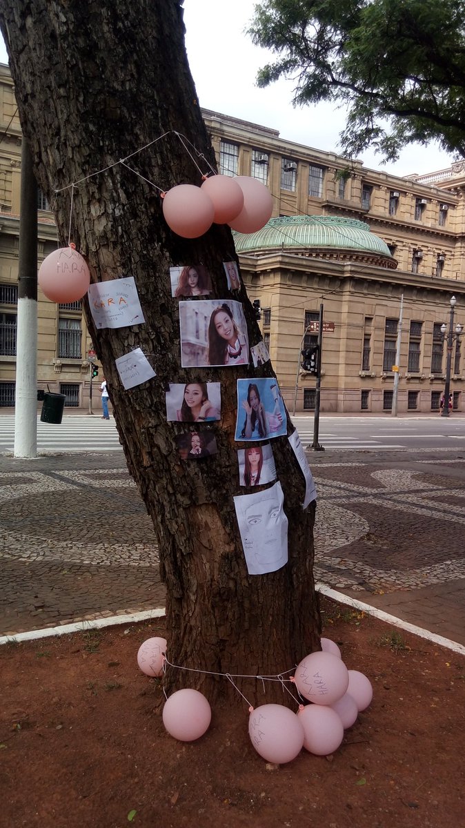 Amanda Ribamar tweet media