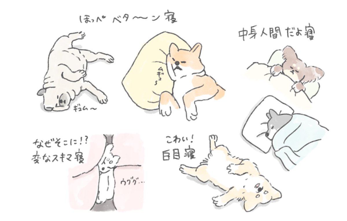 【おいぬのお願い】
おいぬのイラストを描いています。
もしよろしければ皆さんとおいぬのエピソードやイチオシのお写真、うちの子あるあるなどお聞かせいただけないでしょうか?うちの天使を見てくれー!でも構いません!イラストの参考にしていいよ〜!という方ぜひよろしくお願いいたします? 