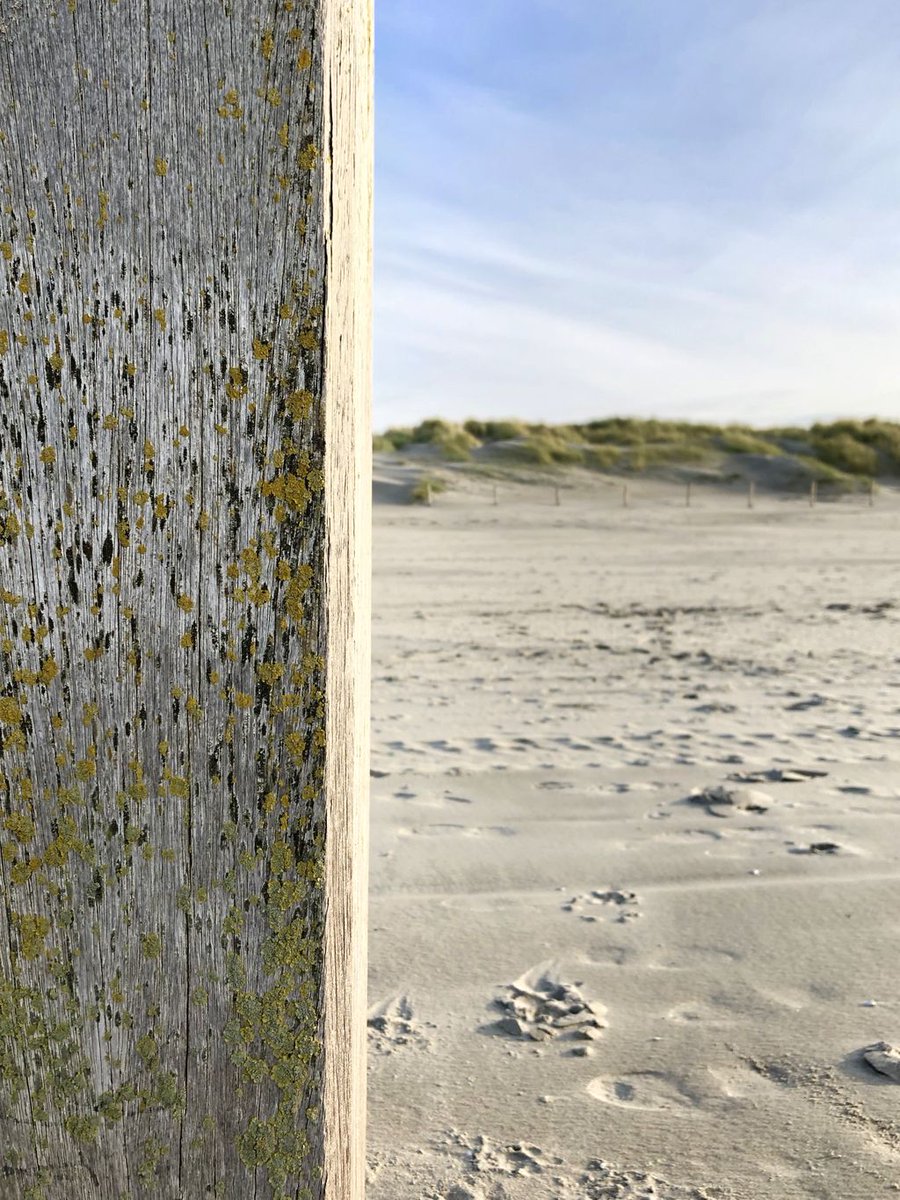 Waan je jezelf in één van de mooiste stukjes natuur van Nederland. Slag Vlugtenburg is toch wel één van de gezelligste stukjes strand. #strandparkvlugtenburg #slagvlugtenburg #strand #nederland #natuur