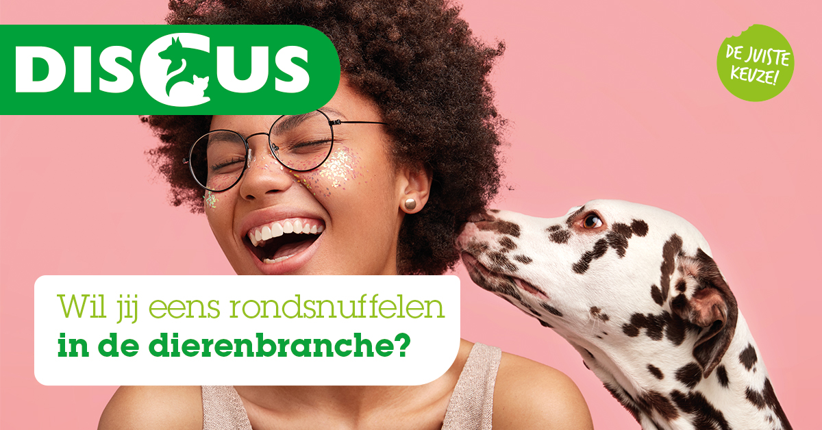DiscusNL's tweet photo. Vanaf februari 2020 hebben wij weer plek voor 2 gedreven studenten die ons team willen komen versterken op de volgende afdelingen:
▪ Marketing en Communicatie (meewerkstage)
▪ Afdeling Commercie (meewerkstage)
https://t.co/wd0jQv0Id0 #commercie #marketingstage #meewerkstage https://t.co/ILzFYvWVZn