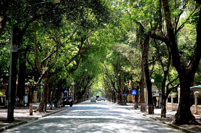 GuideHanoi's tweet photo. When is The Best Time To Visit Hanoi?
See more: https://t.co/mv3gWmhdMb https://t.co/1J9ibBjcO7