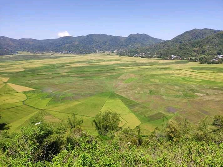 Rice terrace field view in Flores island