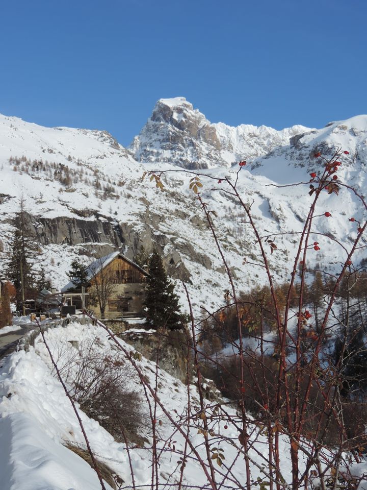 Ubaye Trail tweet media