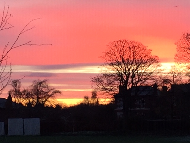 Birkenhead_Head's tweet photo. The first couple of hours of a new school week: sunrise over @BirkenheadSchl, then Seniors Assembly focused on embracing and enjoying change 'Who Moved My Cheese?'. Which one are you? #findyourniche https://t.co/wCNP7qlU6o