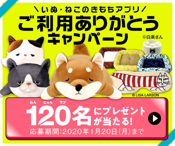 いぬのきもち ねこのきもち プレゼント 1 締切 いぬ ねこのきもちアプリで 1名に豪華賞品が当たるプレゼントキャンペーン実施中です アプリダウンロードも 無料 応募も 無料 この機会にアプリダウンロードを急げ T Co