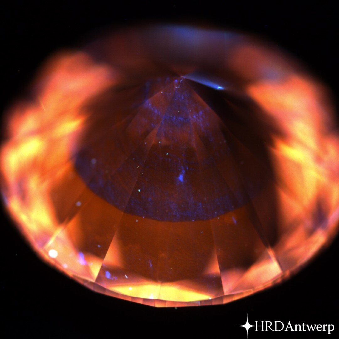 HRDAntwerp's tweet photo. More and more large, high-quality diamonds grown by the Chemical Vapour Deposition (CVD) method enter the diamond and jewelllery market.
In a recent study, we analyzed and graded a selection of 2,059 CVD diamonds in our laboratory: https://t.co/77gah6kEO7 https://t.co/qLeUYI5skP