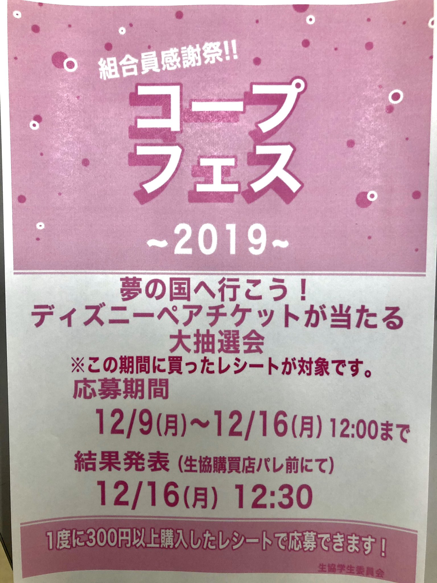 破格値下げ 夢の国行きペアチケット その他 Ppid Trenggalekkab Go Id
