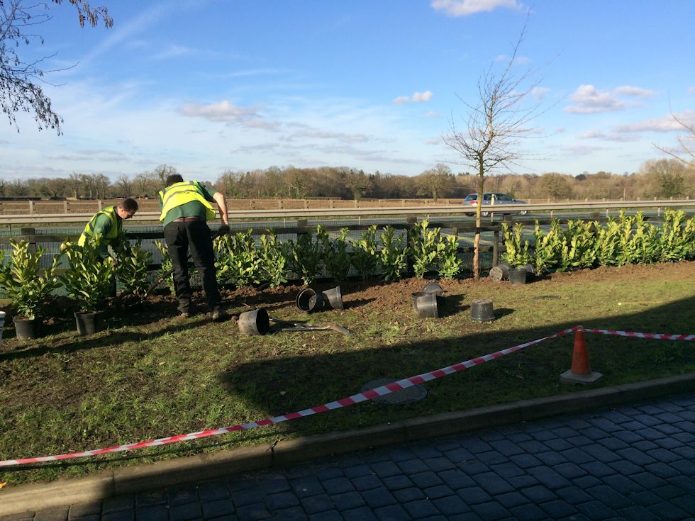 MN_Horticulture's tweet photo. For @McDonaldsUK Broadland at the main roundabout in #Brundall our team installed new #fencing & planted a new #instanthedge to screen the restaurant from the main A47 road
See more from our gallery at https://t.co/PkdcOnrFAm
#Norfolk #commercial #landscaping https://t.co/hJRojhJQ8Z