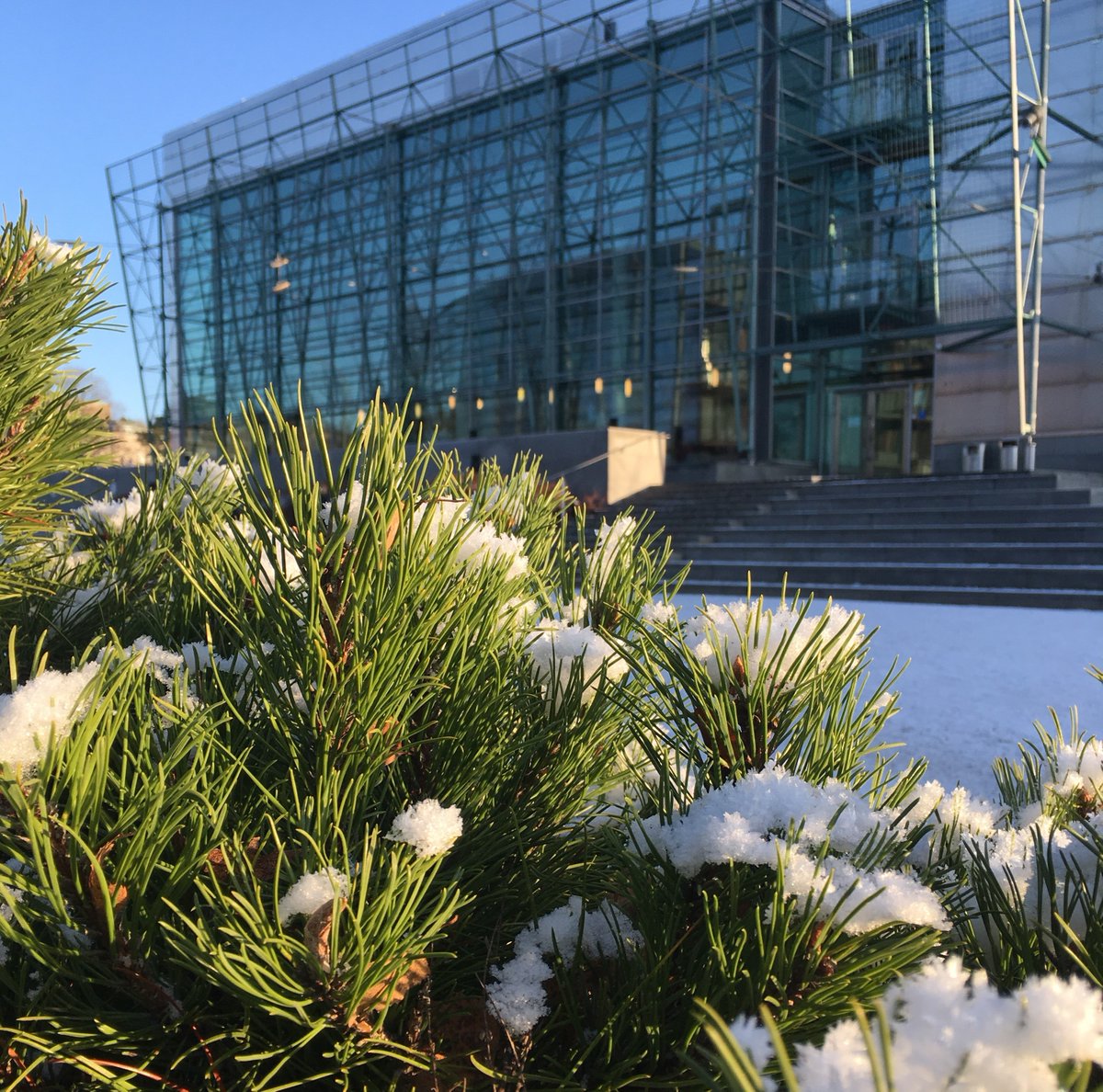 Winter has arrived in #viikkicampus @helsinkiuni! #ftdk #bytdk #mmtdk #eltdk