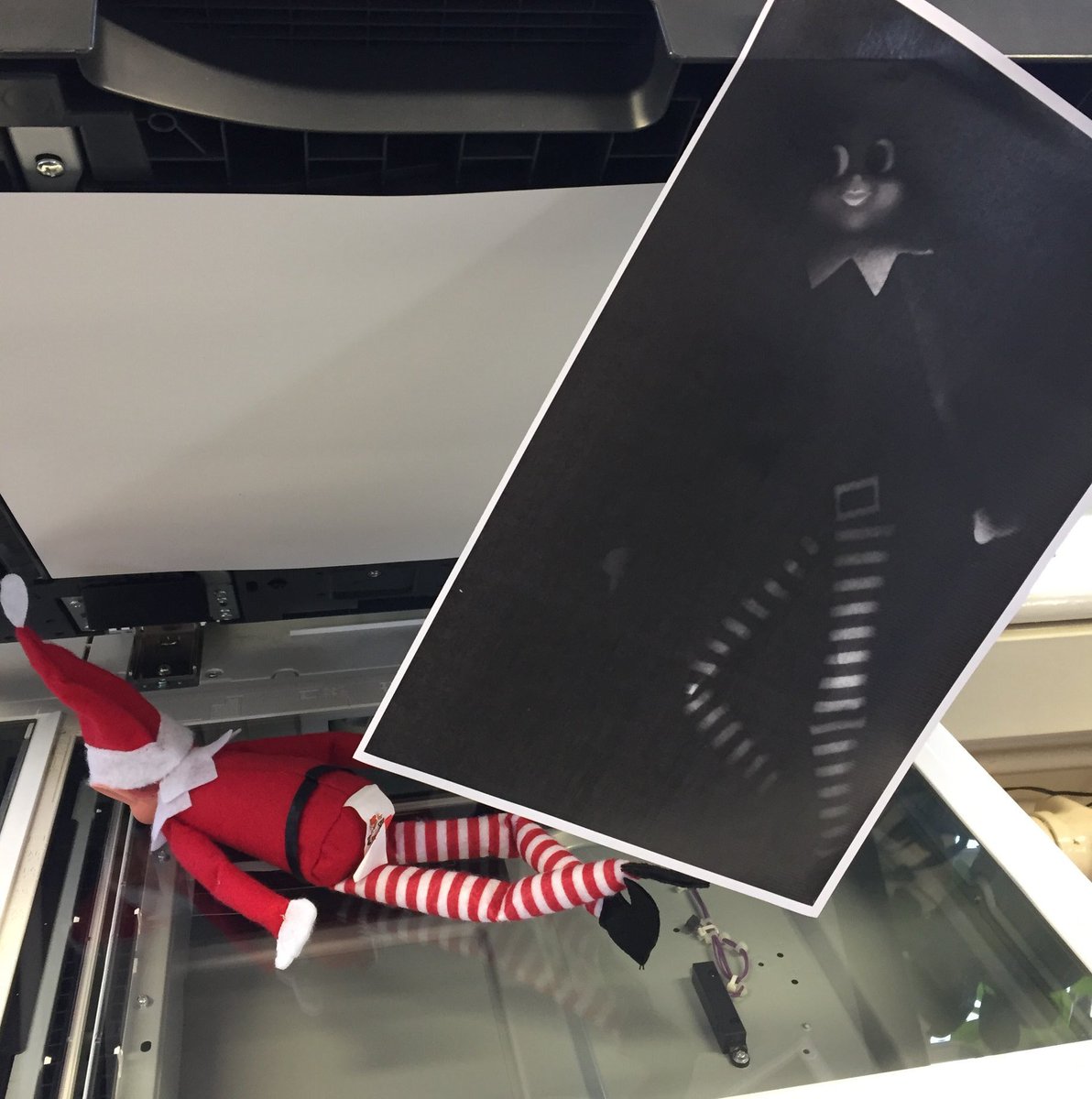 Alpha Guardians tweet media