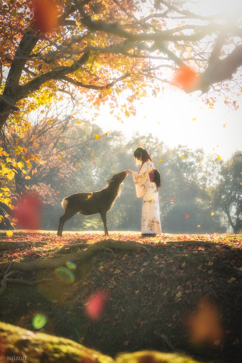 まるで童話の世界 物語のワンシーンのような神秘的な１枚の画像が話題に アート 着物 和服 Japaaan 着物