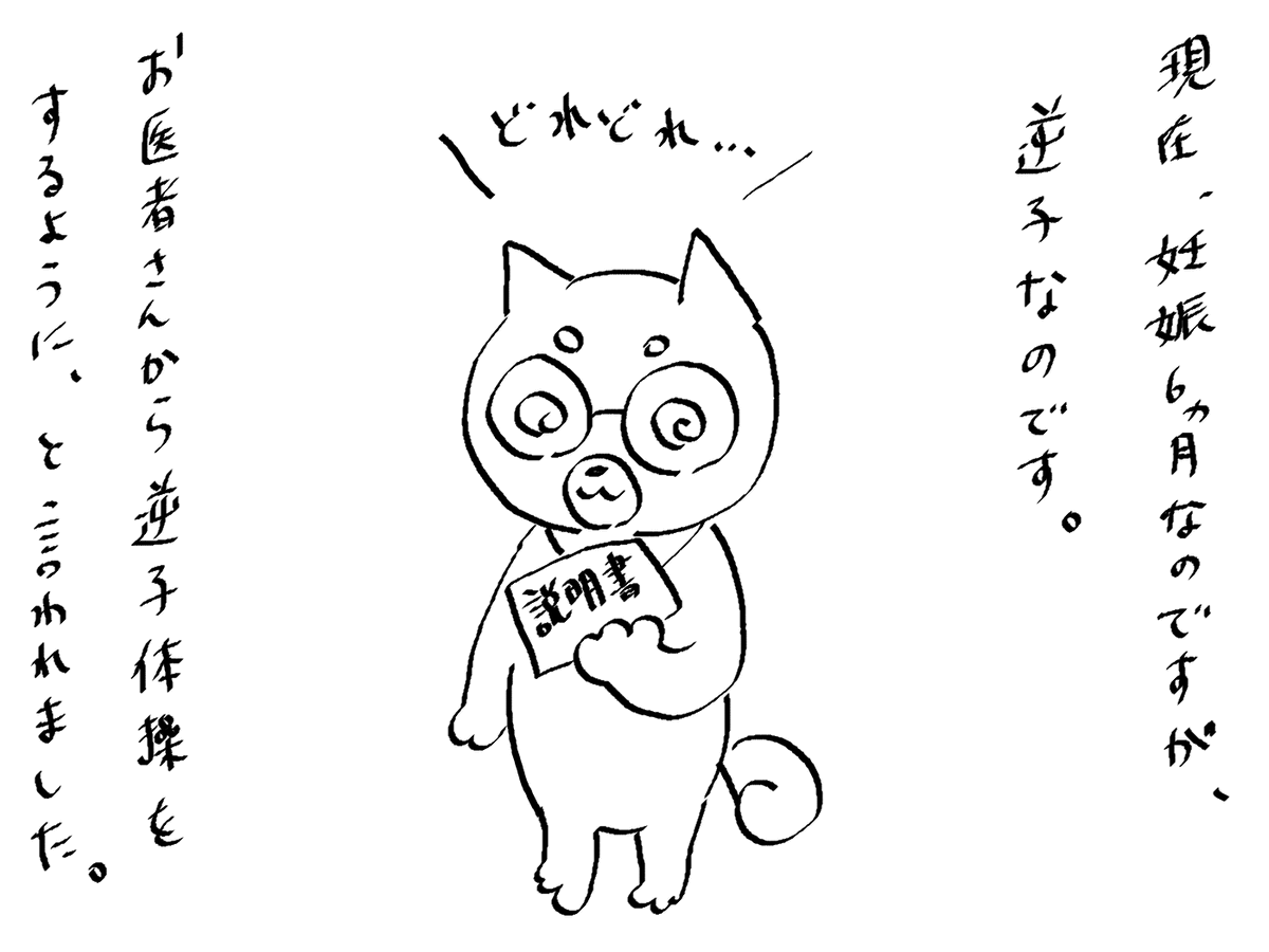 妊娠6カ月、いま逆子だそうです。毎晩逆子体操に付き合ってくれる夫に感謝! 