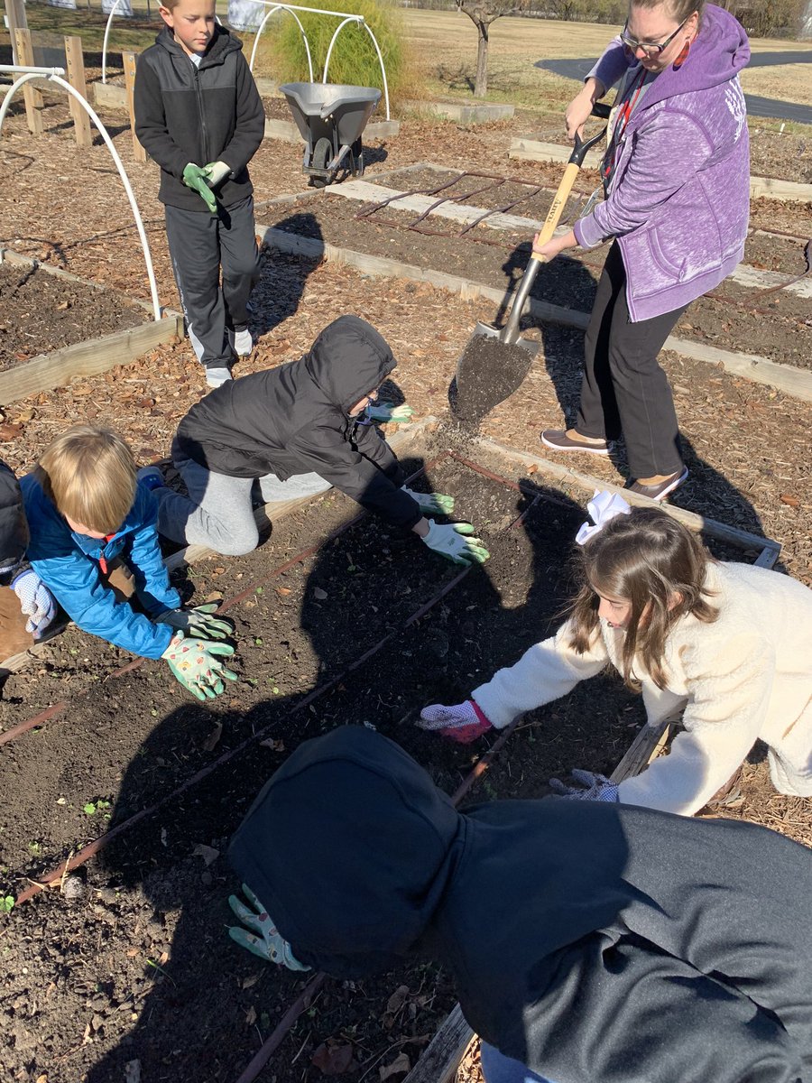 PinkHWszolek's tweet photo. Helping get the garden beds ready for winter! https://t.co/BhhBNWG82m