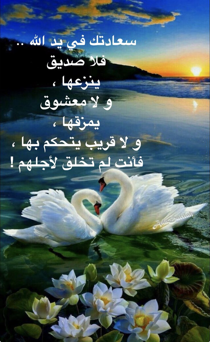 Haya (@haya_alammari) on Twitter photo 