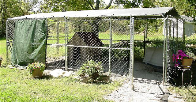 10x20 dog run