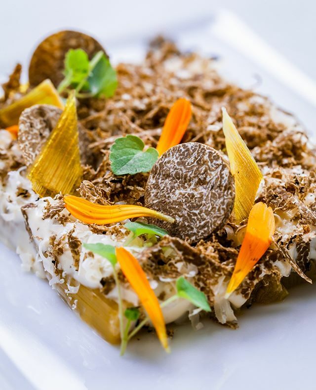Another delight by our Chef Philippe Bourrel! 😋🍽️👨‍🍳⁠
The leeks from the garden in salt crust, melanosporum truffle flakes and Ticino Piorra cheese ⁠ ift.tt/2Y6E9KS