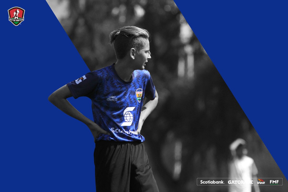 SectorAmateur's tweet photo. ☀️ | #FraseSAm | Miércoles, ¿dónde será la reta? 

“No importa lo que pase, siempre tendrás una historia que contar.”

#DondeNaceLaPasión #FMFPorNuestroFútbol @ScotiabankMX @gatorademex  @VoitMexico https://t.co/gwJYPEaEaE