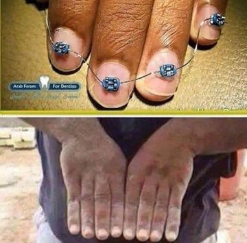 Lisa T. Smith tweet media