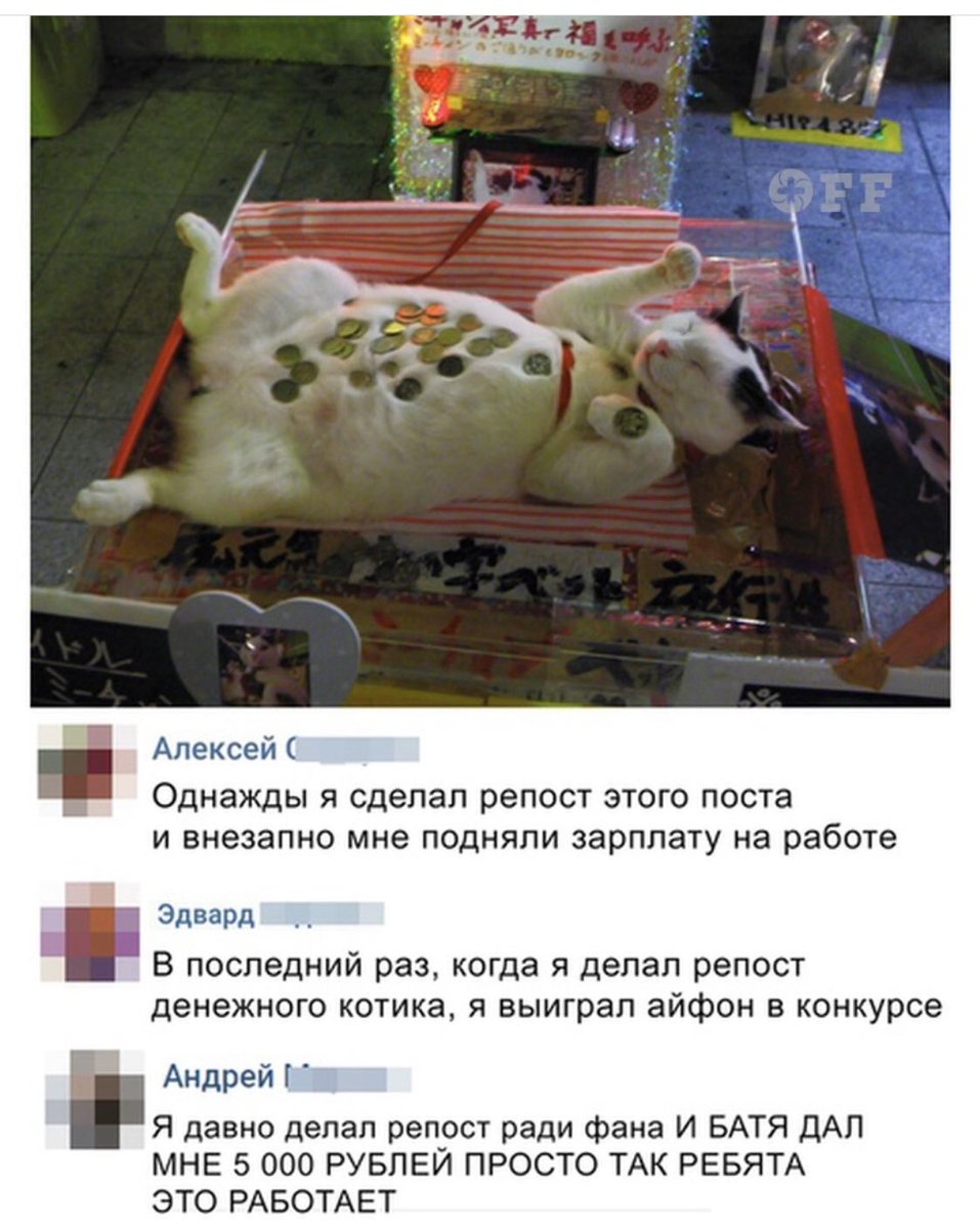 AlexandrVans's tweet photo. Верю в силу котика!🙏🏻🐱❤ https://t.co/by2FrNgbDX
