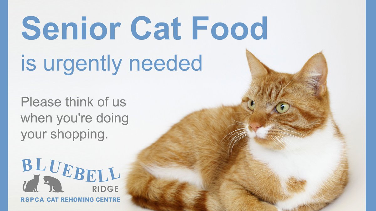 We are very low on wet senior cat food for our elderly moggies, especially chicken/poultry flavour. If you have any food to donate, please think of us. Donations can be taken to our centre at Chowns Hill, #Hastings. Thank you 😺💙 #Bexhill