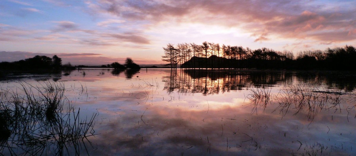 Hael Farm Cottages Visitgower Twitter
