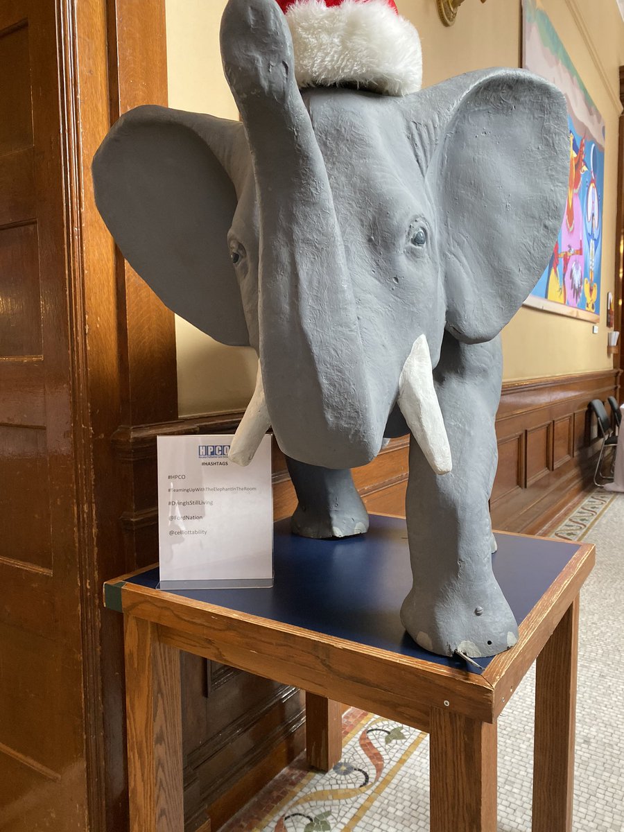 The Elephant is in The Room at Queen’s Park. Hospice palliative Care Ontario is ending hallway healthcare. We’re all going to die, but it doesn’t have to be in a hospital hallway.  #hpco @HPCOntario @celliottability #DyingIsStillLiving.