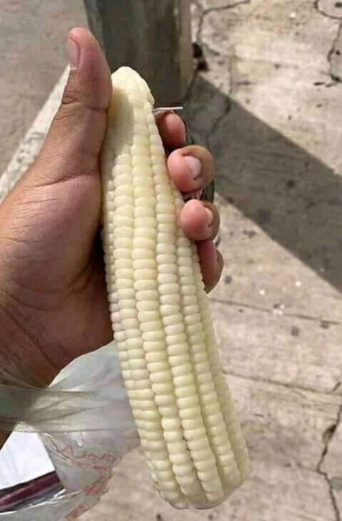 bruceburyo's tweet photo. Solution for Kampala kifesi 😎 https://t.co/yaFR0Gsrnc