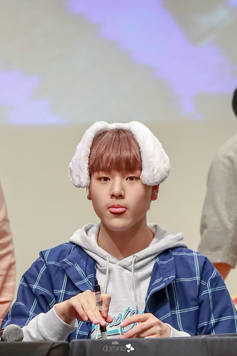 little_domino's tweet photo. 190908 상암팬싸

귀여운 강아지 🥰
#X1 #엑스원 #남도현 #도현 #NAMDOHYON #DOHYON @x1official101 @x1members https://t.co/RDzqMAKHt4