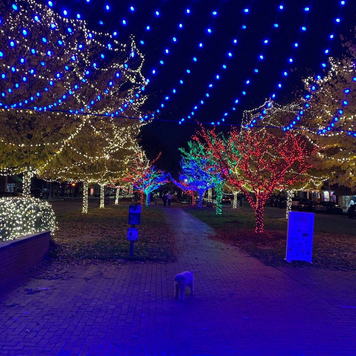 It’s beginning to look a lot like Christmas in Downtown Macon! #VisitMacon Our Cyber Monday rate sale is still going! Call us to reserve your $149/night rate on stays through 2/29/2020. Terms and conditions apply. Call: 1-877-452-6599