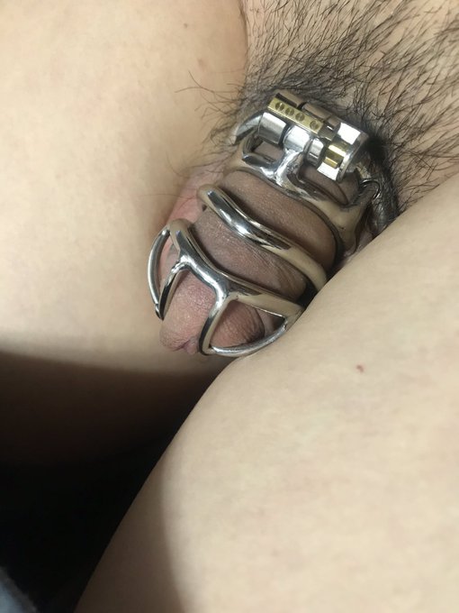 Out of service งดให้บริการชั่วคราว เดี๋ยวจะทำ for hand free cam  #chastity #chastitycage #ล็อกควย https://t<a href="/tag/chastity"class="tags"><span>#chastity</span></a><a href="/tag/chastitycage"class="tags"><span>#chastitycage</span></a><a href="/tag/%E0%B8%A5%E0%B9%87%E0%B8%AD%E0%B8%81%E0%B8%84%E0%B8%A7%E0%B8%A2"class="tags"><span>#ล็อกควย</span></a>