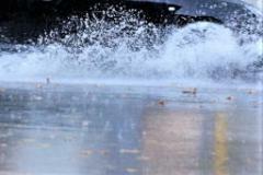 metfirenze's tweet image. #Allagamenti #diffusi in #Mugello ed #Empolese #Valdelsa
Le segnalazioni ricevute dalla Sala di #protezionecivile della #CittàMetropolitanadiFirenze. Fratini: "Attenzione anche là dove sembra che ci sia poca acqua"
#MET #ReddazioneMet Citta Metro Firenze… ift.tt/34Hj5NF