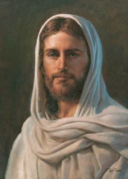 Rita Viola ¡Sí! a la Vida tweet media