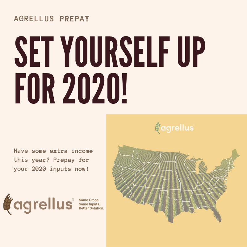 AgrellusFarm's tweet photo. #Agrellus #ifarmwithagrellus #Harvest2019 #Harvest2020 #Farming #farmlife #sameinputsbetterprices #prepayistheway #prepay #farminputs https://t.co/dLVAqERAUW