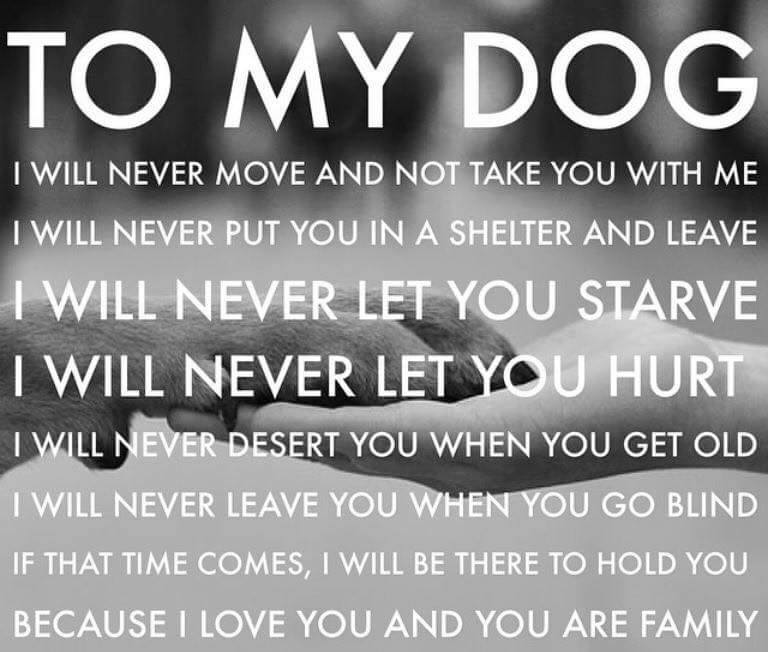 WoofMagazineNE's tweet photo. Because I love you and you are family.
We’re having fun over here —->@WoofMagazineofficial
#WoofWorthy #WoofMagazineNE #Pets #ProjectPawsitive #ilovemydog #doglover #love #shelterdog #dogsrule https://t.co/Okt8uY3V55