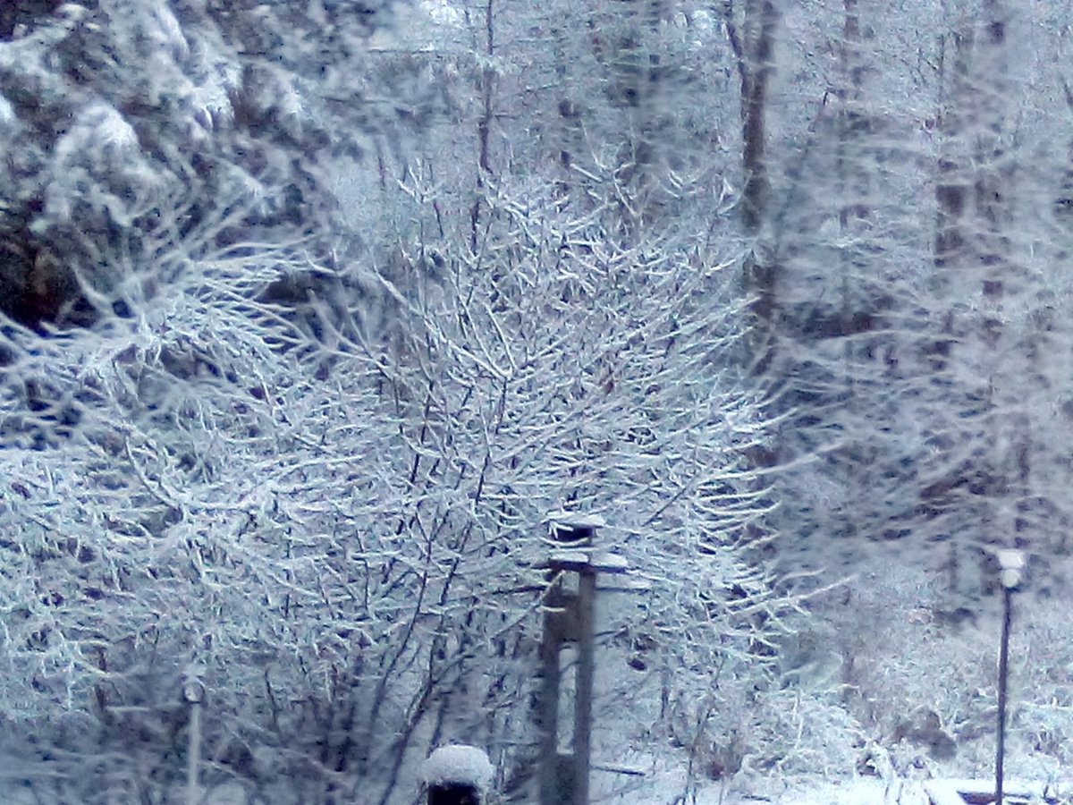 UgotBronx's tweet photo. #Snowfall2019 https://t.co/Y93rj1gtNC
