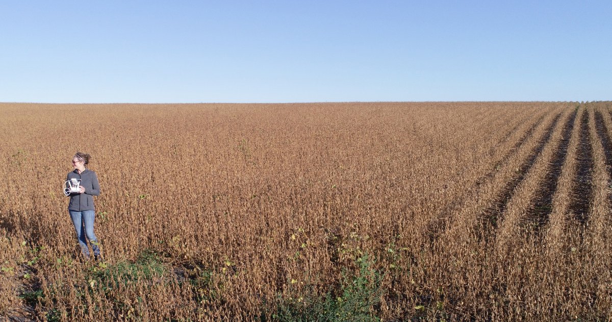 FarmFemmes's tweet photo. The FASTCon soybean data challenge winners have been announced. Check https://t.co/ORMRMBG2C7 to see who earned the right to present their models at FASTCon on December 9. #agtech #aganalytics #farmfemmes #minneanalytics #marketsense https://t.co/S7eUlUZsqe
